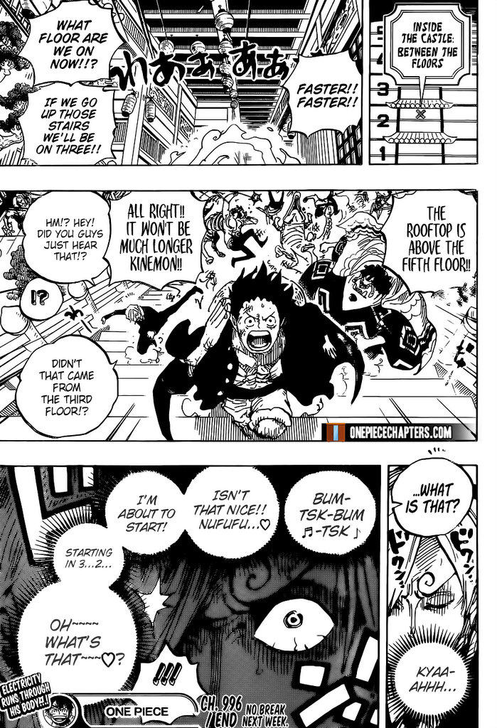 One Piece Chapter 996 18